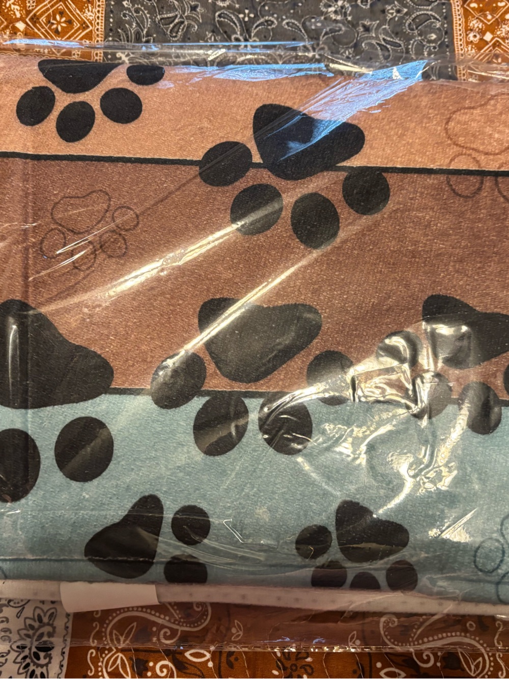 Plush Paw-Print rug in Brown and Light Blue